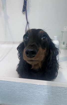 Bath time
